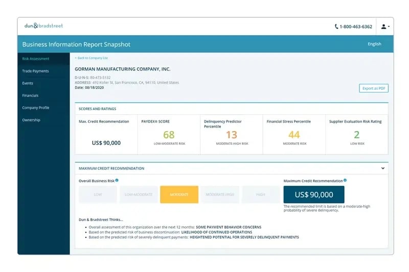 business information report snapshot