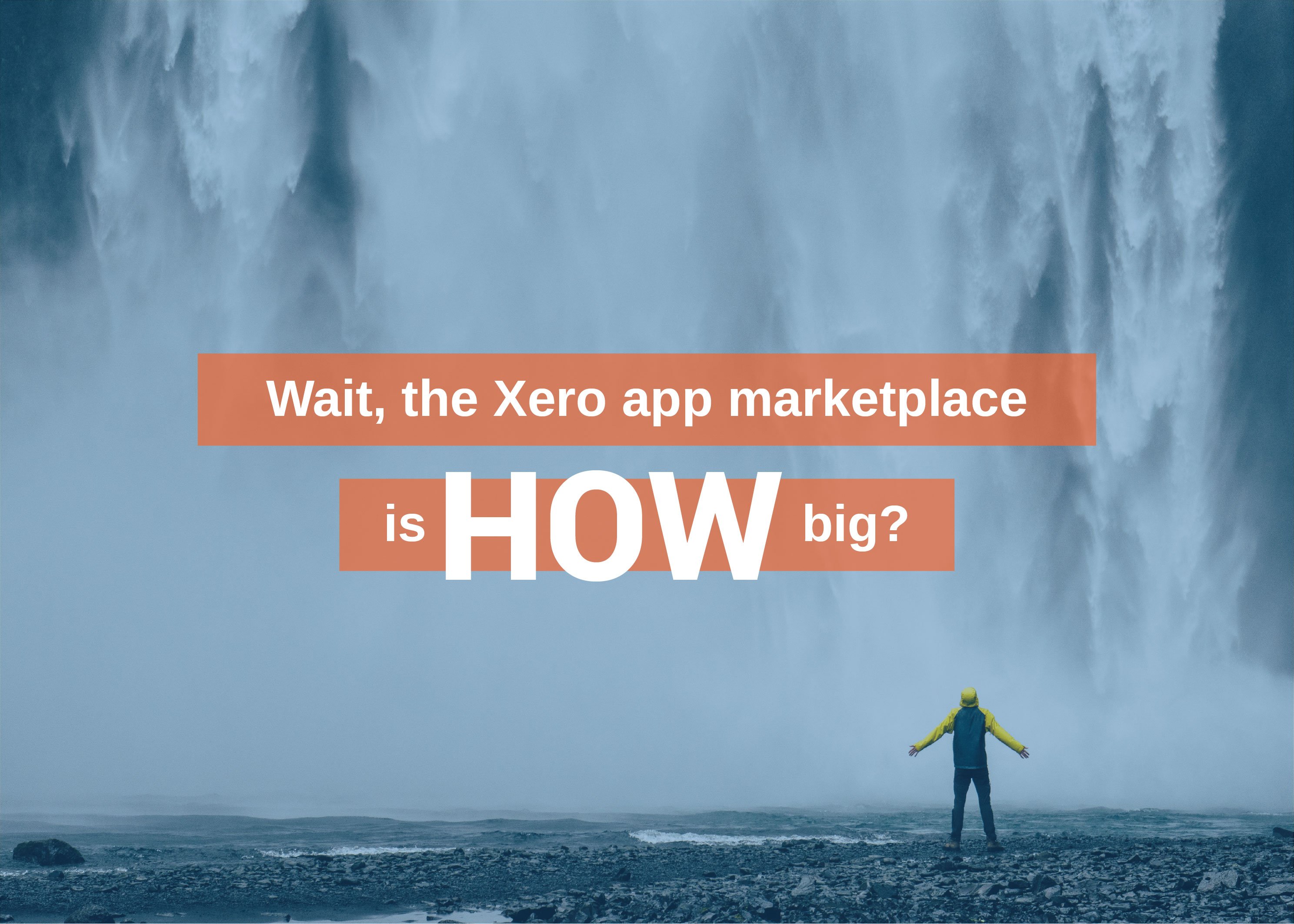 Wait, the Xero app marketplace is HOW big?