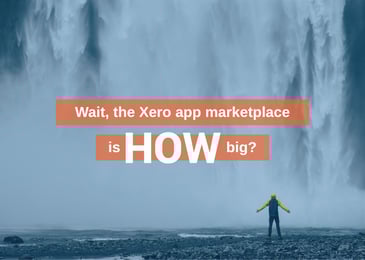 Discussions about the size of the Xero App Marketplace