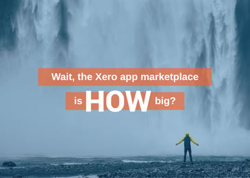 Discussions about the size of the Xero App Marketplace