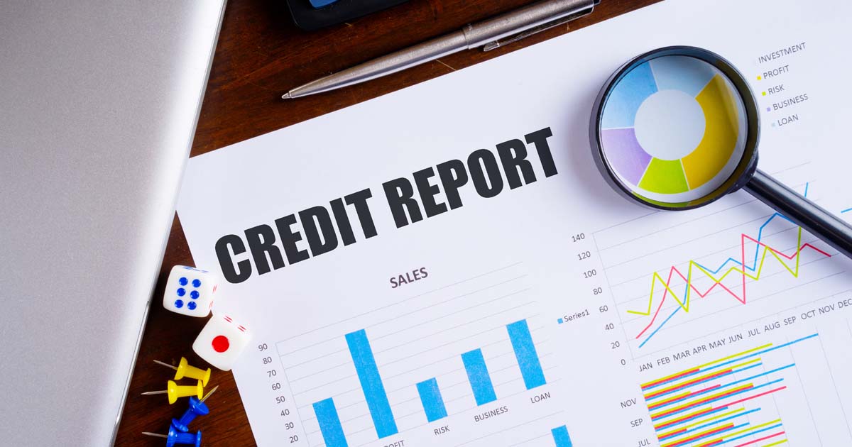 How to read a company credit report and what to look out for