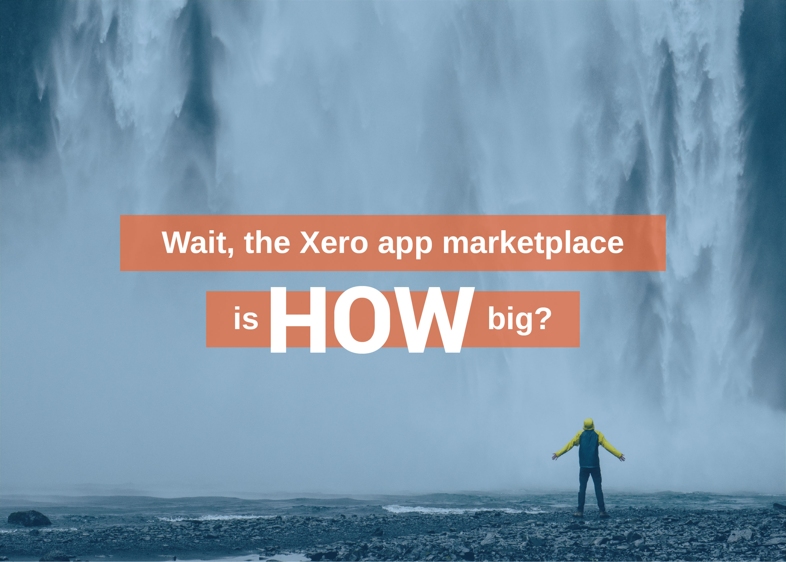 Wait, the Xero app marketplace is HOW big?